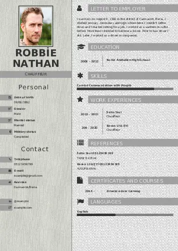 Chauffeur resume example